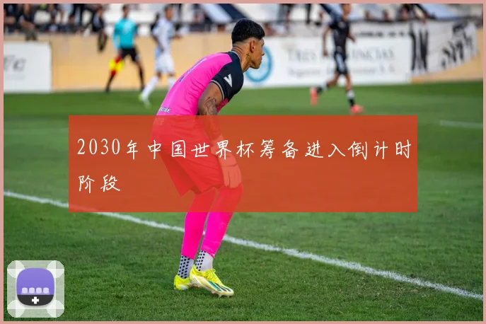 2030年中国世界杯筹备进入倒计时阶段