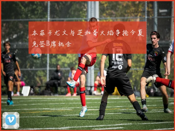 本菲卡尤文与芝加哥火焰争抢今夏免签B席机会